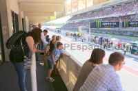 VIP motogp <br /> Piso Box Member